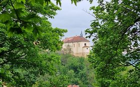 Nižbor samostatný domek v zahradě